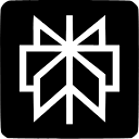 Logo Perplexity