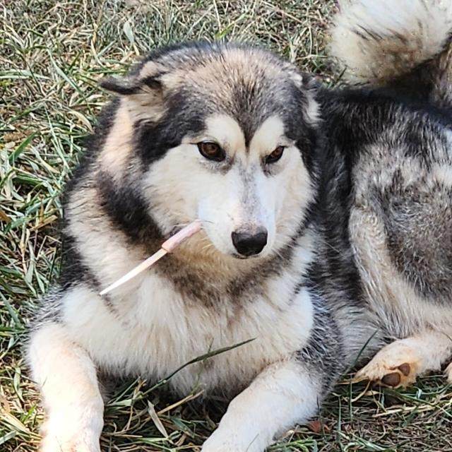 Engrenagens, dinheiro e pessoas trabalhando.